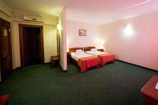 Отель Hotel AmaDeus Фокшани Двухместный номер с 2 отдельными кроватями-4